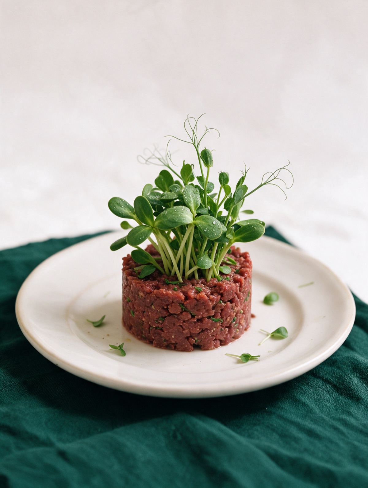 Beef tartare crowned with sunflower and pea shoots